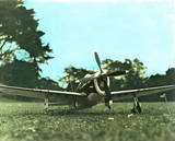 P47 front view